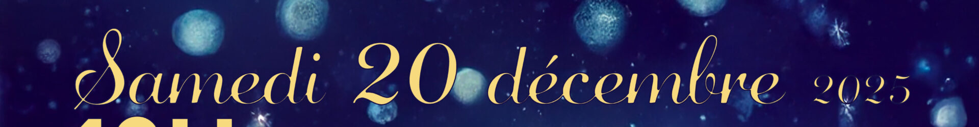 Le Père Noël arrive le 20 décembre !