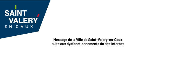 Problèmes sur le site internet