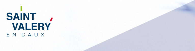 Un phoque sur la plage, c&rsquo;est normal !